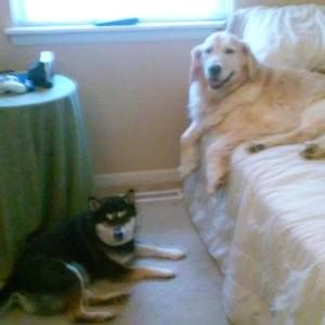 Meet your Posher, Michelle